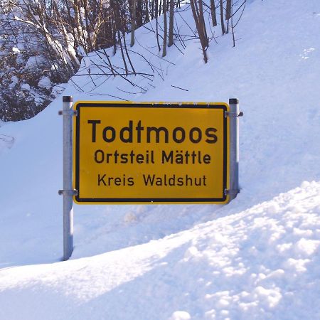 Apartmán Birke 9, 10 Oder 11 Todtmoos Exteriér fotografie