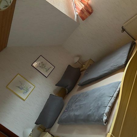 Apartmán Birke 9, 10 Oder 11 Todtmoos Exteriér fotografie