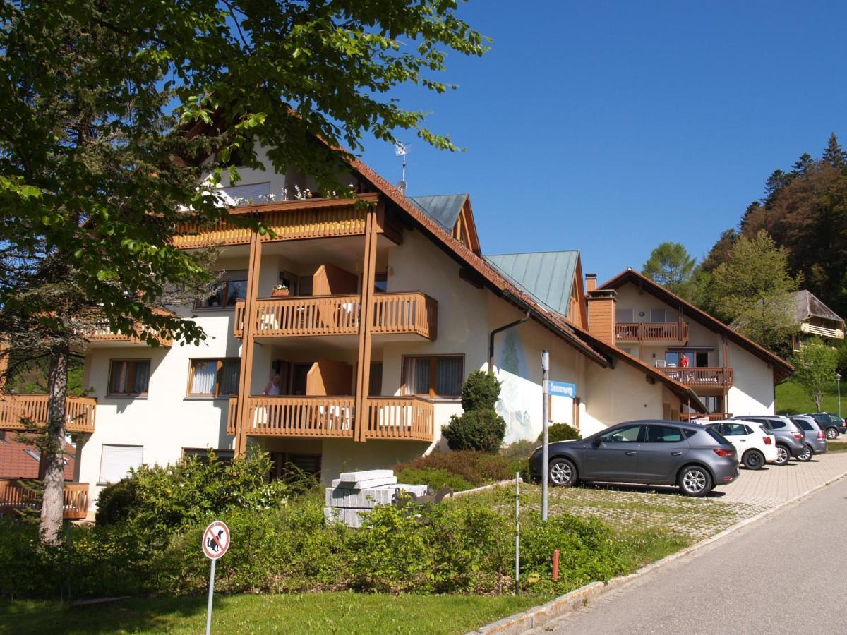Apartmán Birke 9, 10 Oder 11 Todtmoos Exteriér fotografie