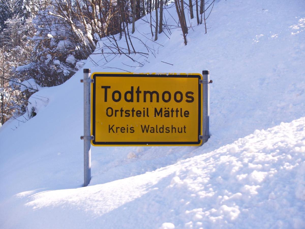 Apartmán Birke 9, 10 Oder 11 Todtmoos Exteriér fotografie