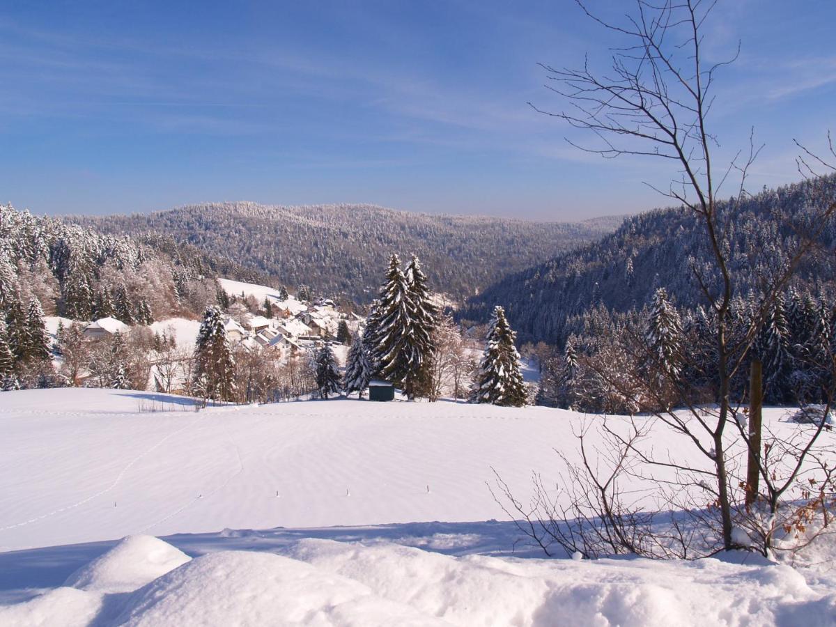 Apartmán Birke 9, 10 Oder 11 Todtmoos Exteriér fotografie
