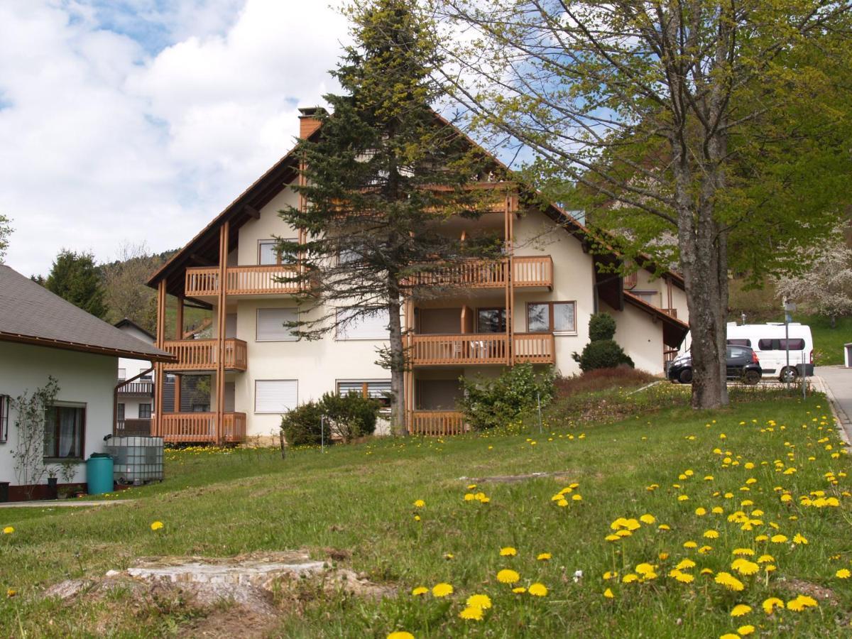 Apartmán Birke 9, 10 Oder 11 Todtmoos Exteriér fotografie