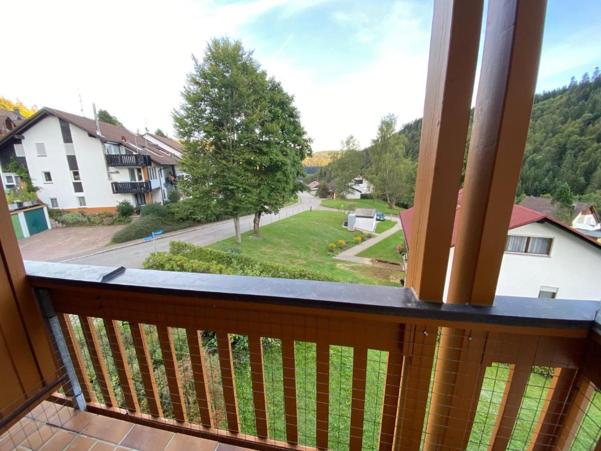 Apartmán Birke 9, 10 Oder 11 Todtmoos Exteriér fotografie