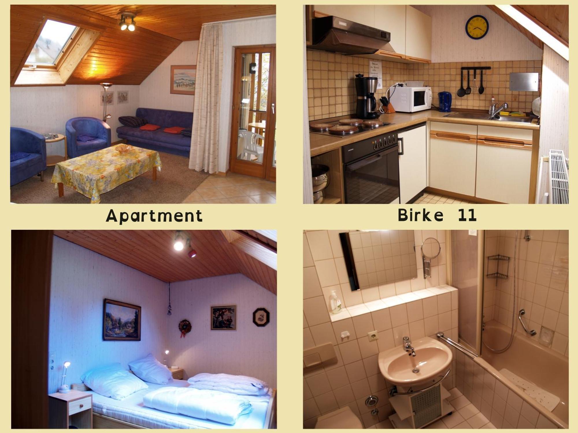 Apartmán Birke 9, 10 Oder 11 Todtmoos Exteriér fotografie