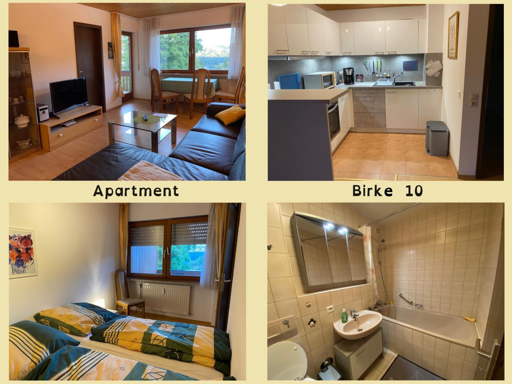 Apartmán Birke 9, 10 Oder 11 Todtmoos Exteriér fotografie