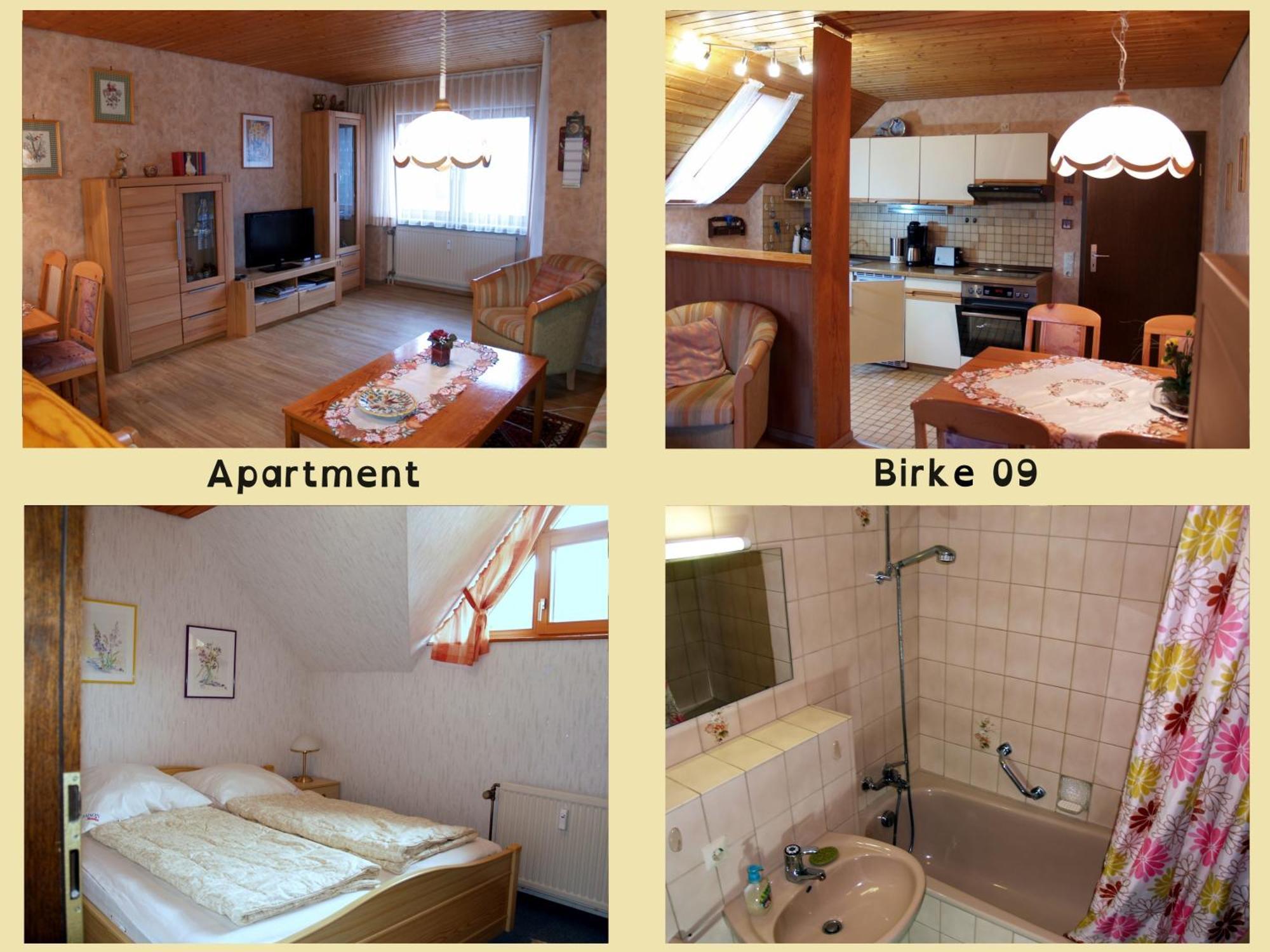 Apartmán Birke 9, 10 Oder 11 Todtmoos Exteriér fotografie